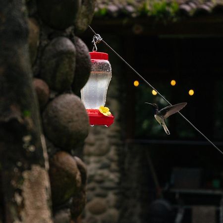 Pura Vista Glamping Hotel El Castillo Exterior foto