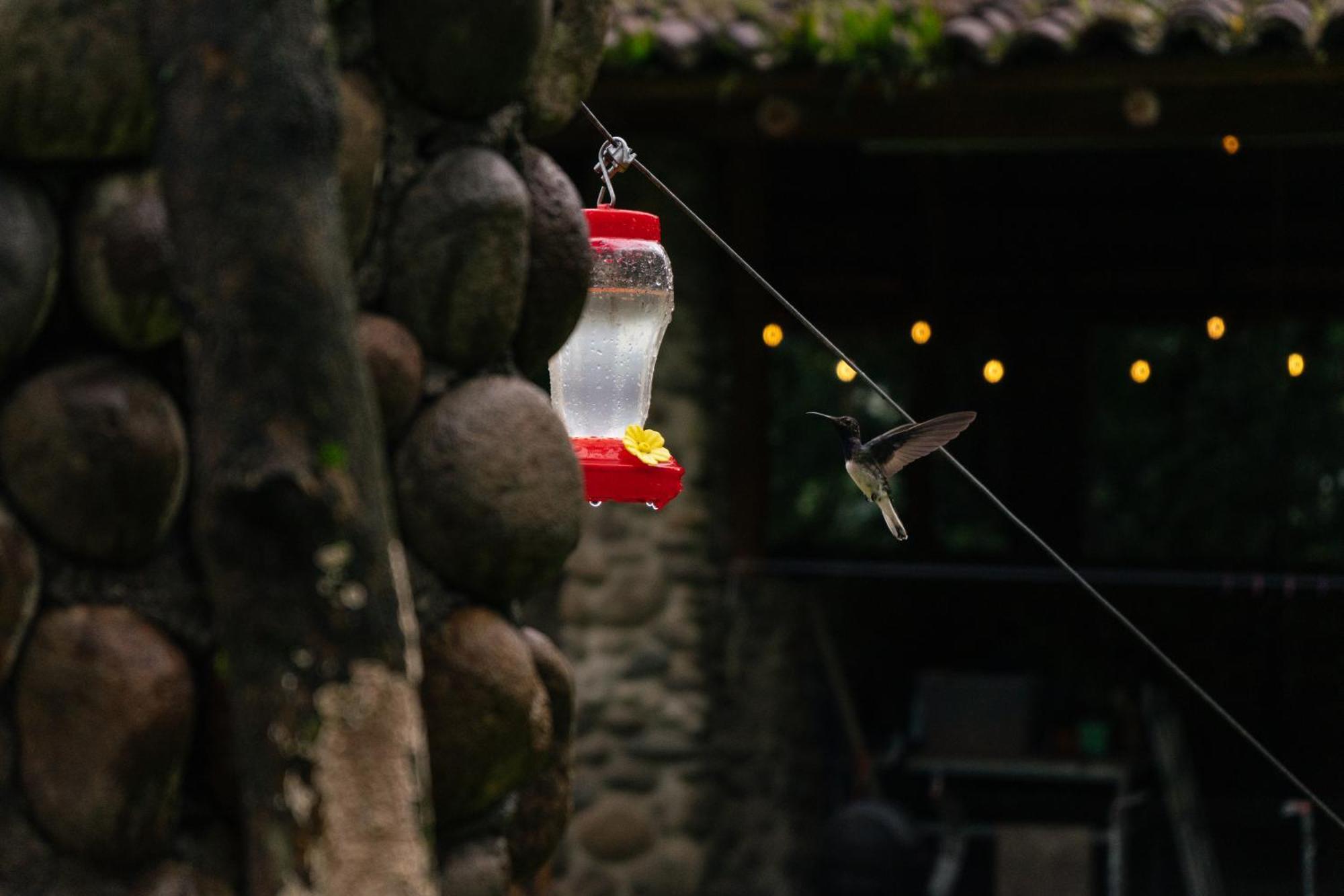 Pura Vista Glamping Hotel El Castillo Exterior foto